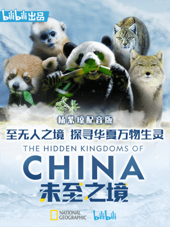 未至之境杨紫琼配音版