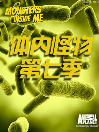 体内怪物 第七季