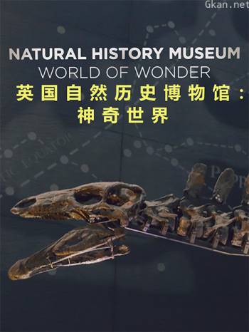 英国自然历史博物馆:神奇世界
