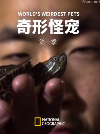 奇形怪宠 第一季
