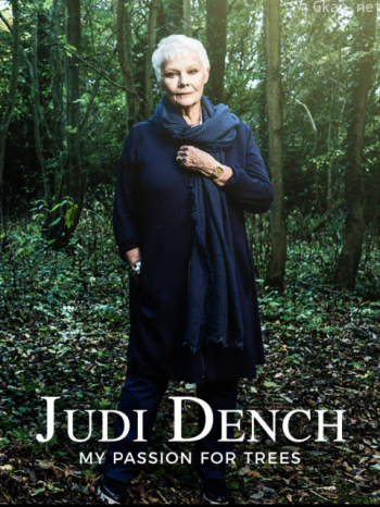 朱迪·丹奇：树之爱