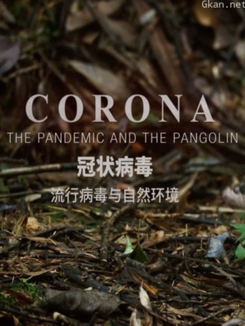 冠状病毒:流行病毒与自然环境