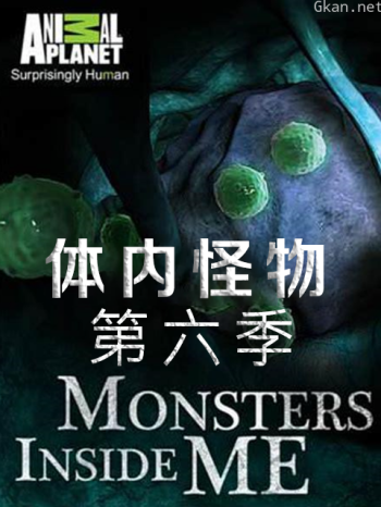 体内怪物 第六季