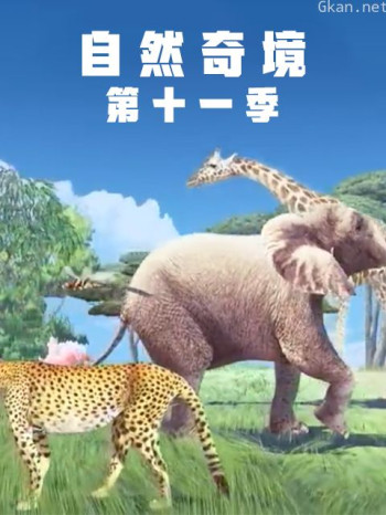 自然奇境 第十一季