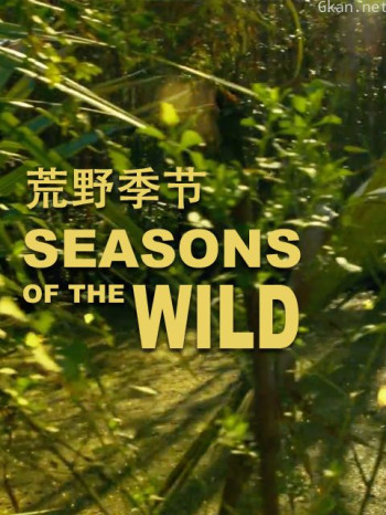 荒野季节 第一季