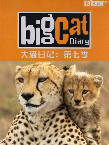 大猫日记 第七季