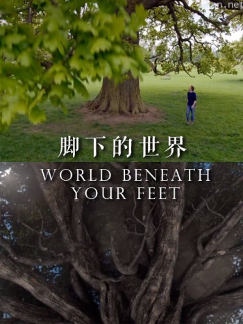 脚下的世界