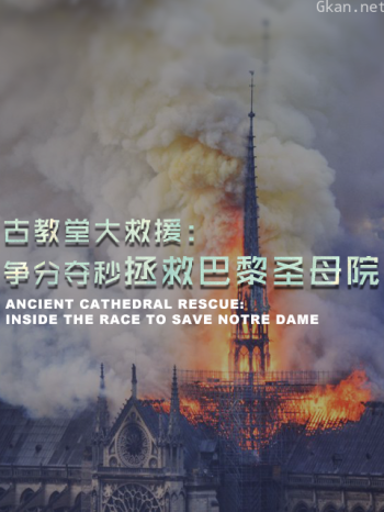 古教堂大救援：争分夺秒拯救巴黎圣母院
