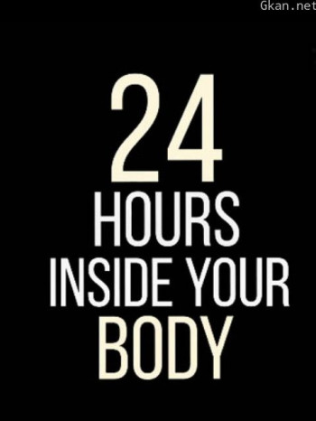 24小时人体奥秘
