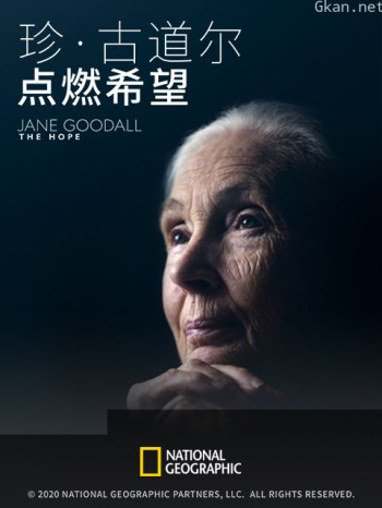 珍·古道尔:点燃希望中配版