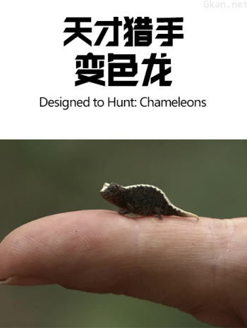 天才猎手：变色龙