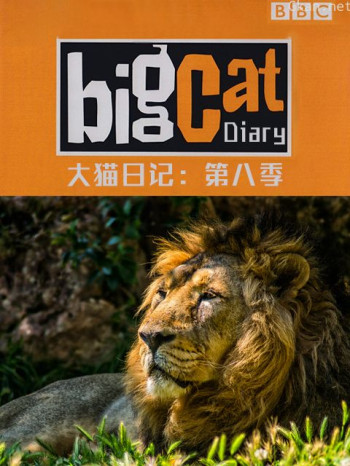 大猫日记 第八季