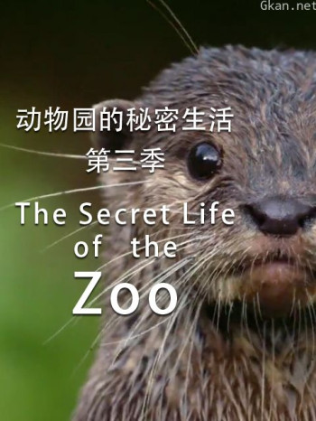 动物园的秘密生活 第三季