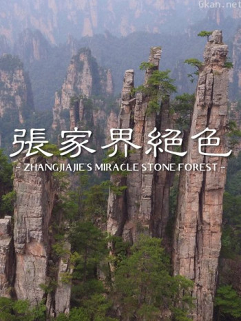 张家界的奇迹石林