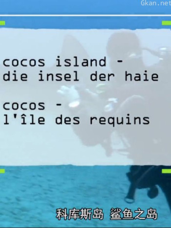 科库斯岛鲨鱼岛