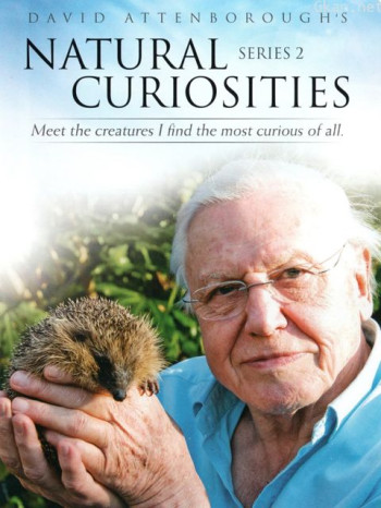 大卫·爱登堡的自然奇迹 第二季