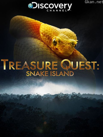 蛇岛寻宝