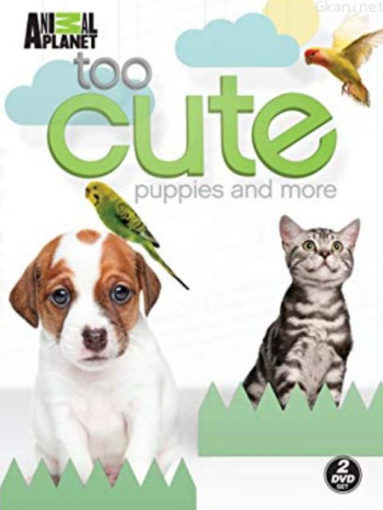 萌宠成长记 第二季