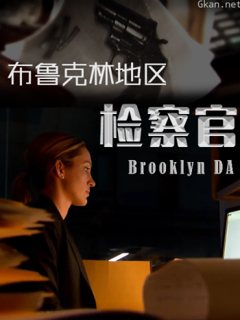 布鲁克林地区检察官