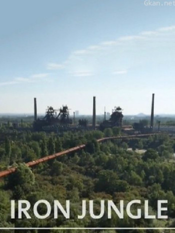 钢铁丛林