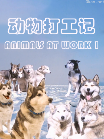动物打工记 第二季