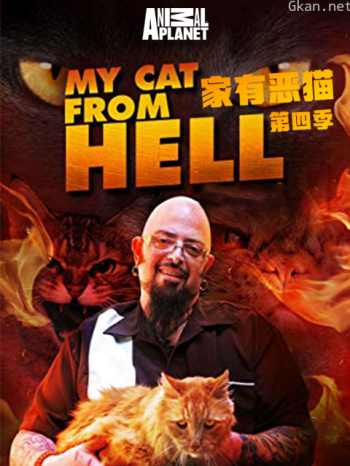 家有恶猫 第四季