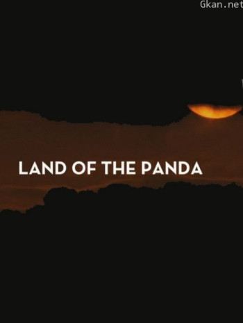 熊猫之境