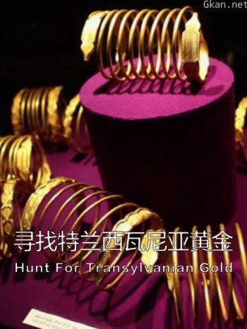 寻找特兰西瓦尼亚黄金