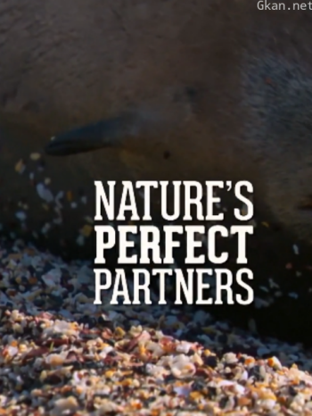 自然世界：自然界的完美父母