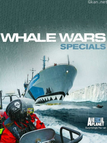 护鲸大战:战斗伤痕