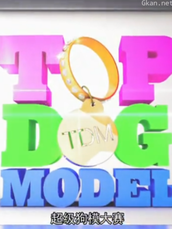 超级狗模大赛