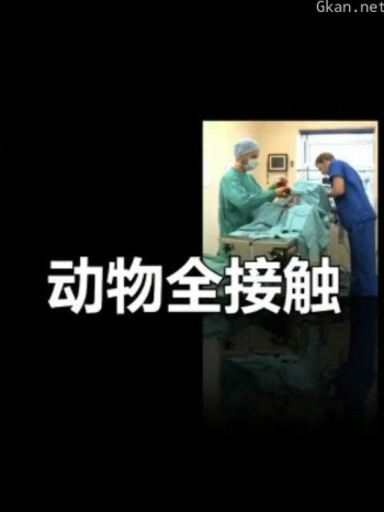 动物全接触 第八季