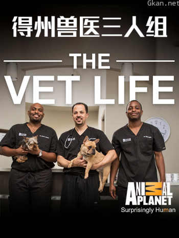 得州兽医三人组