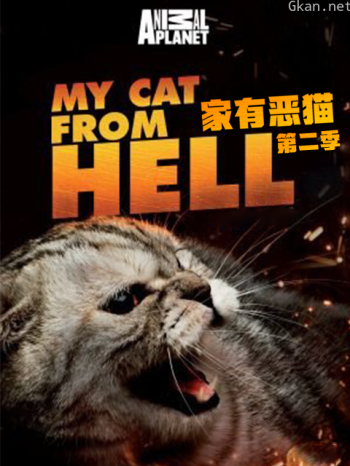 家有恶猫 第二季