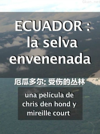 厄瓜多尔:受伤的丛林
