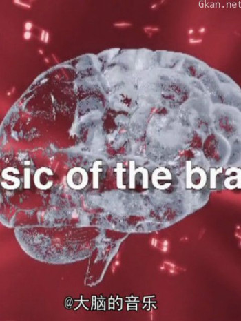 大脑的音乐