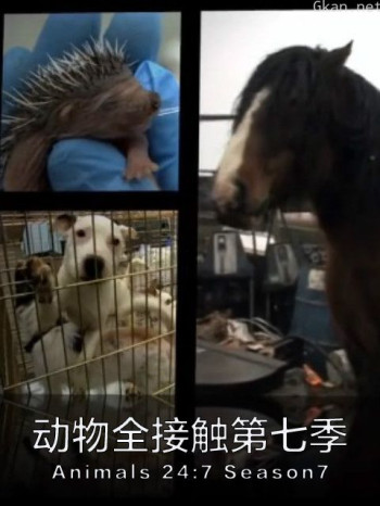动物全接触 第七季