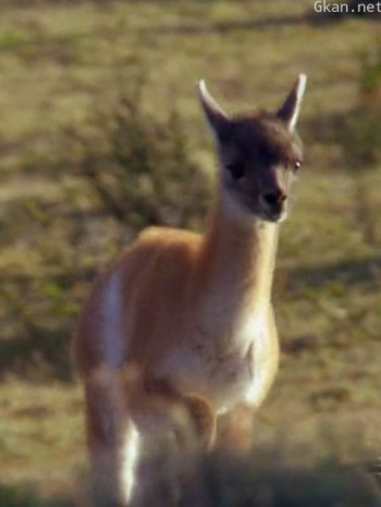 为跑而生的新生活