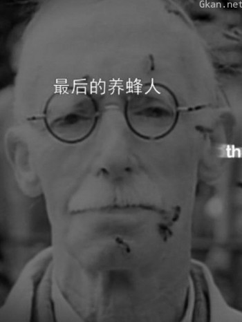 最后的养蜂人