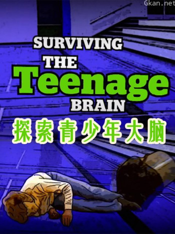 探索青少年大脑