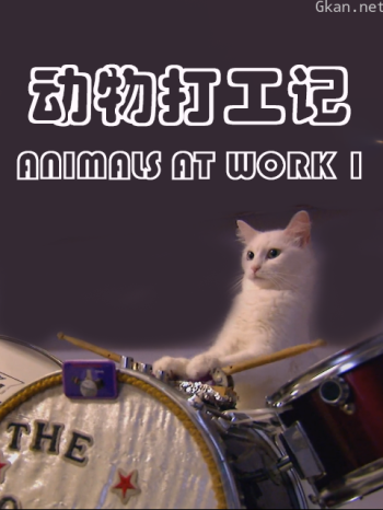 动物打工记 第一季