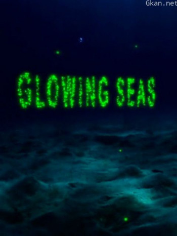 发光的海洋