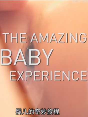 宝宝的奇妙旅程