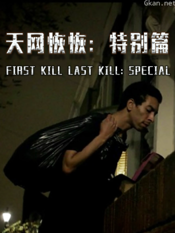 天网恢恢:特别篇