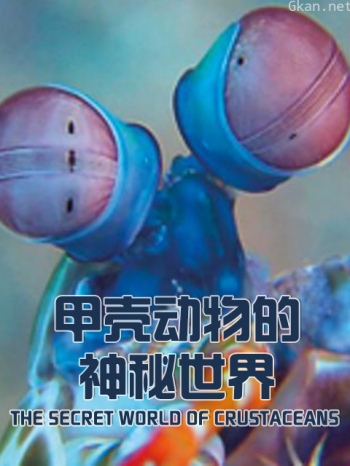 甲壳动物的神秘世界
