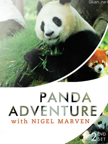 马文的熊猫王国历险记
