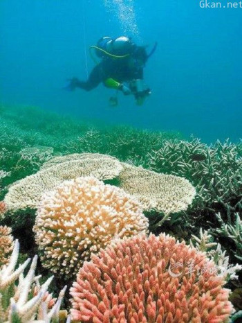 大堡礁上的月亮魔咒