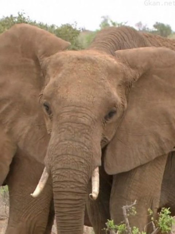 自然奇境 第一季