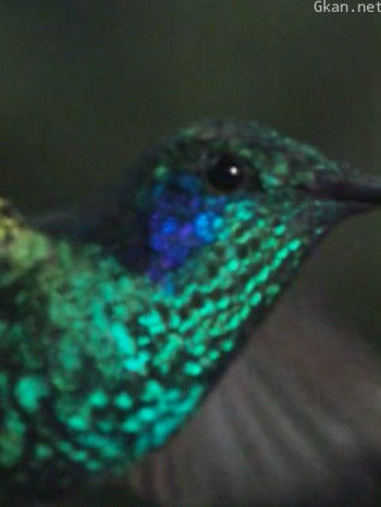 自然奇境 第三季