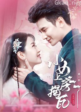 小女上房揭瓦 第一季